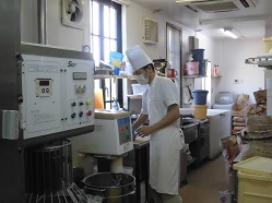 職場体験学習の風景です。