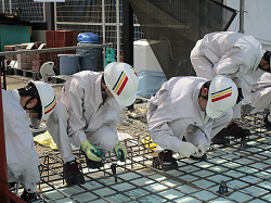 職場体験学習の風景です。