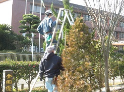 実技指導の風景です。